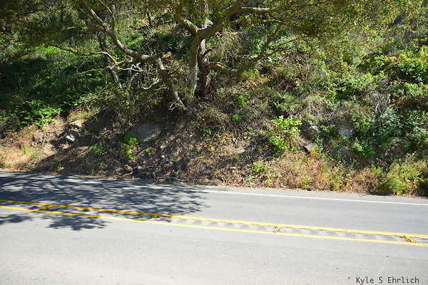 DSC 5189