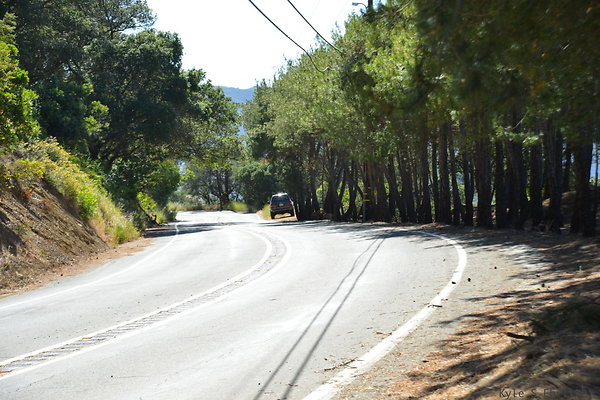 DSC 5102