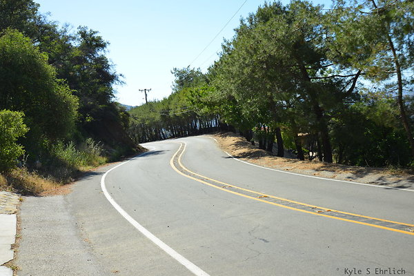 DSC 5075
