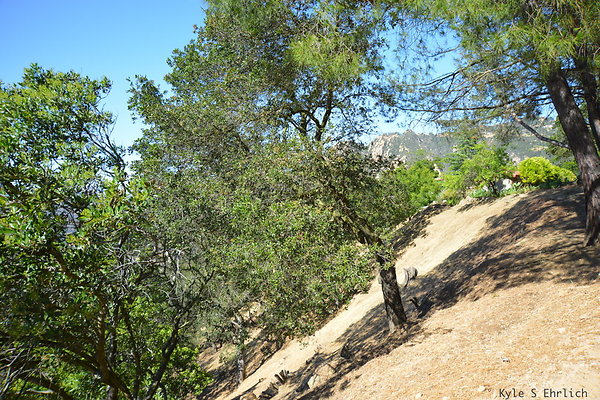 DSC 5186