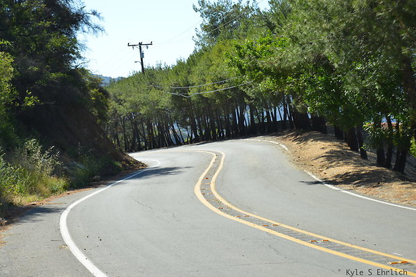 DSC 5077