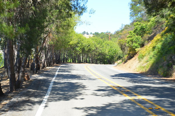DSC 5184