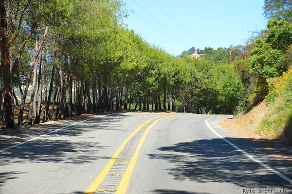 DSC 5012