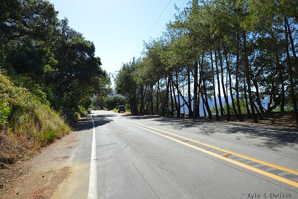 DSC 5124