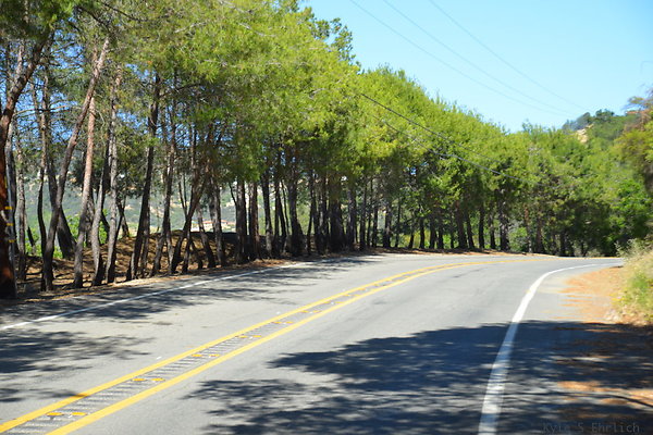 DSC 5015