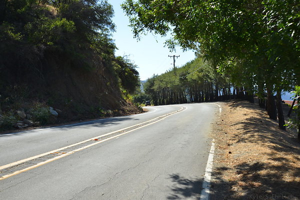 DSC 5093
