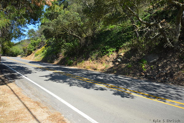 DSC 5188