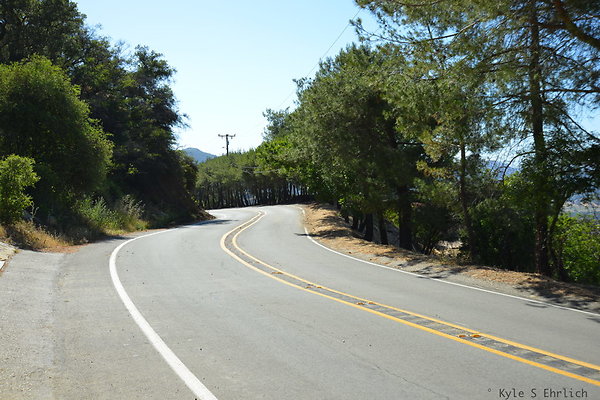 DSC 5073