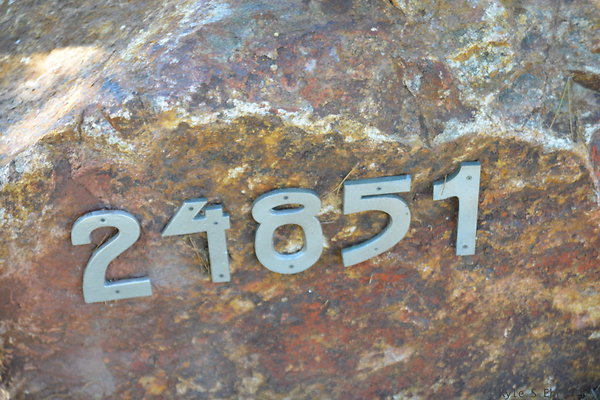 DSC 90161