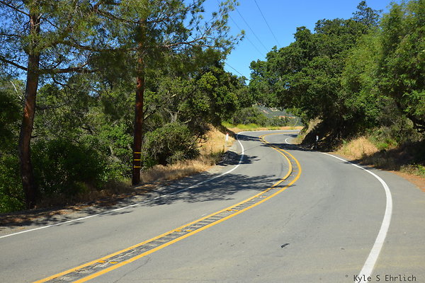 DSC 5068