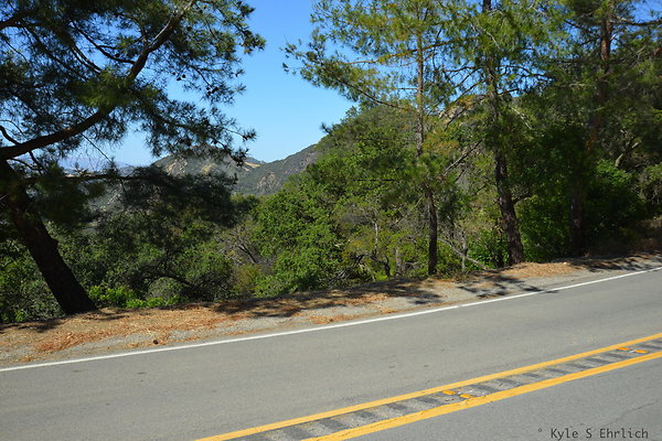 DSC 5065