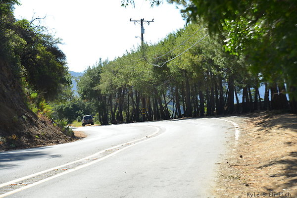 DSC 5095