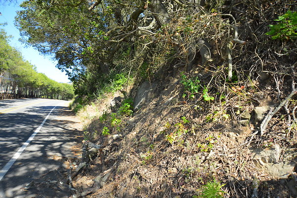 DSC 5177