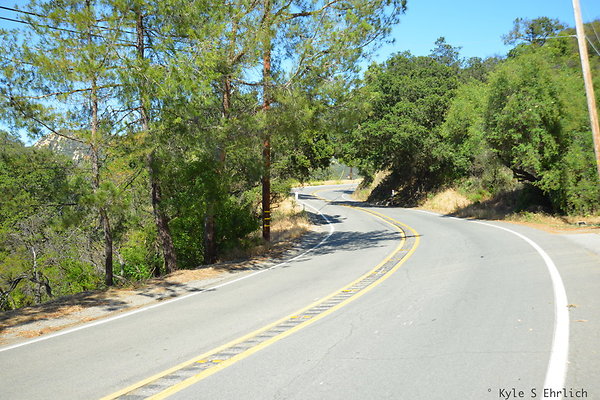 DSC 5058