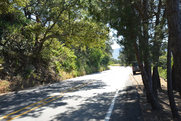 DSC 5158