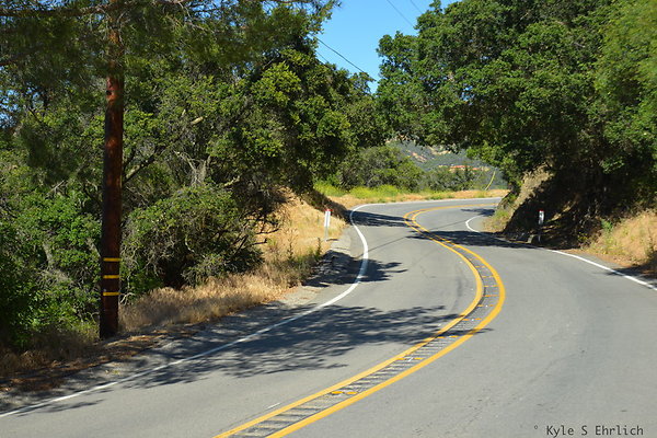 DSC 5069