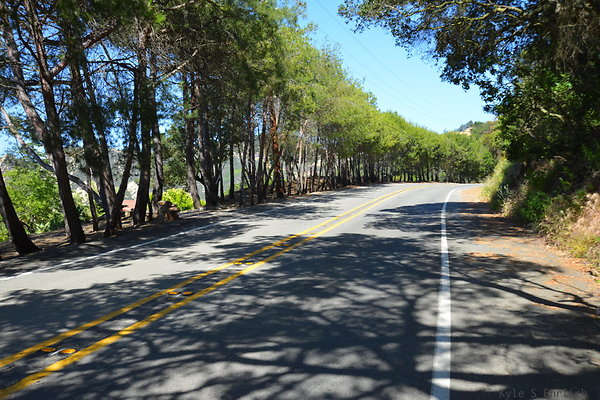 DSC 5007