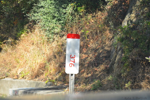 DSC 8993a