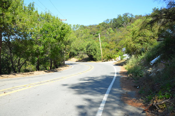 DSC 5053