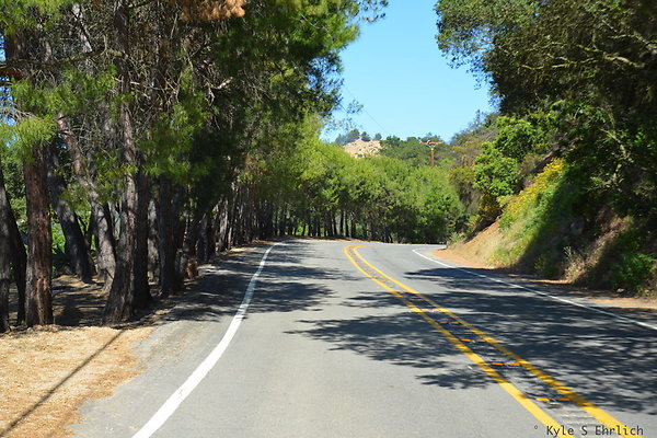 DSC 5164