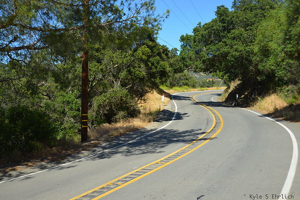 DSC 5071