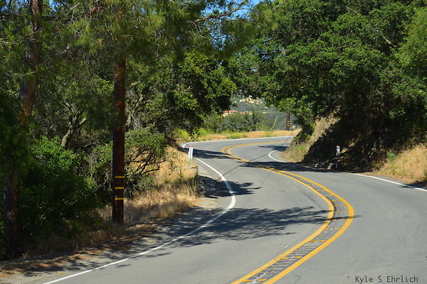 DSC 5061