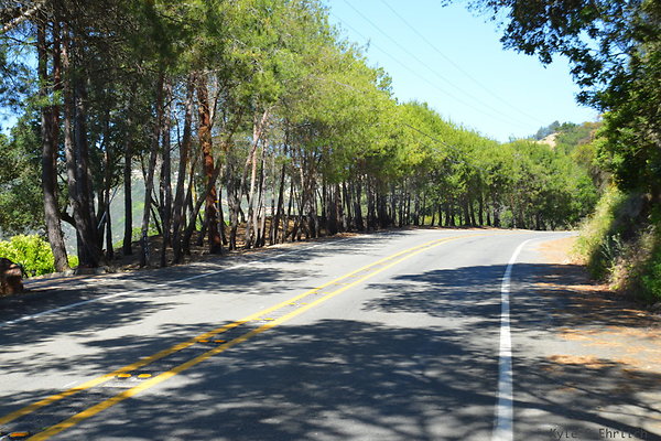 DSC 5008