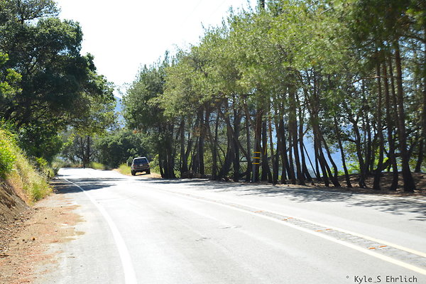 DSC 5114