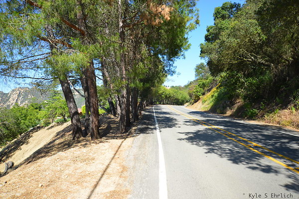 DSC 5185