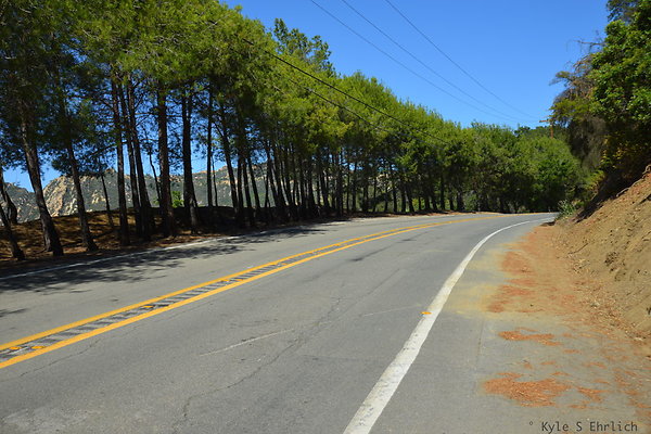 DSC 5030