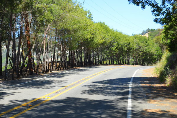 DSC 5009