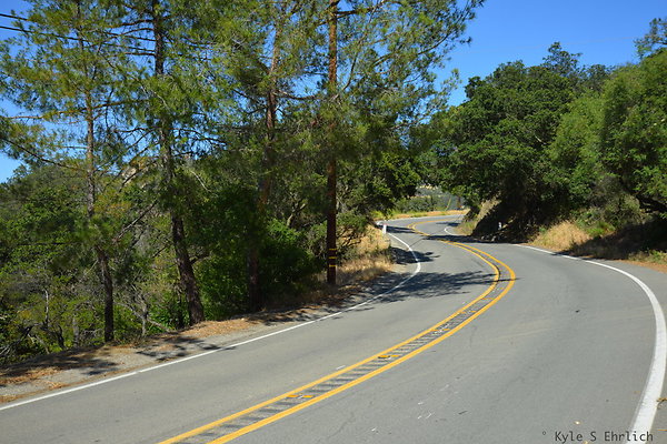 DSC 5062