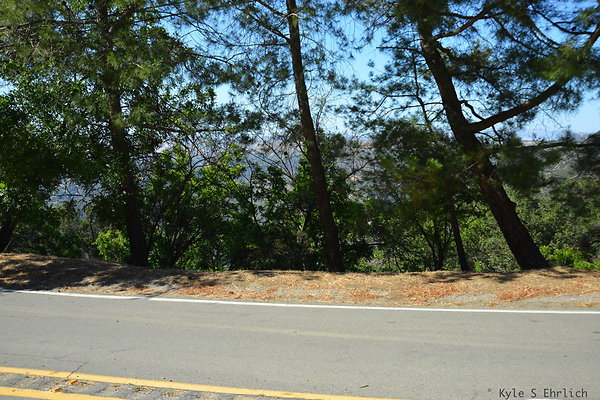 DSC 5064