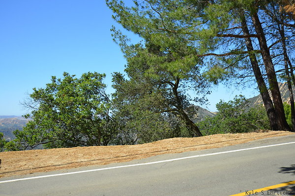 DSC 5004