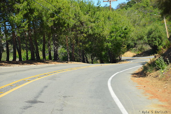 DSC 5039