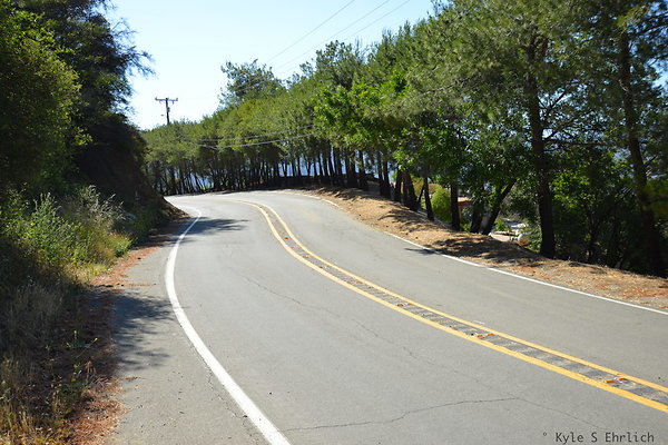 DSC 5087