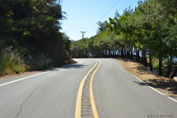 DSC 5090