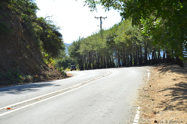 DSC 5094