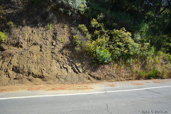 DSC 5139
