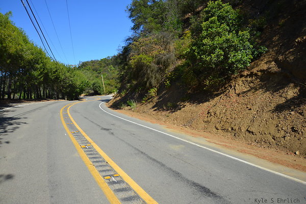 DSC 5137
