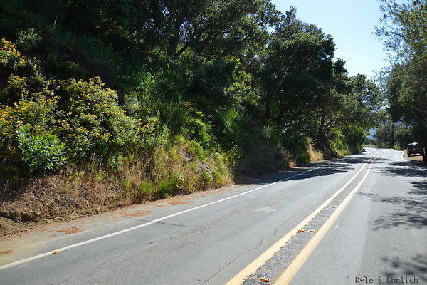 DSC 5140