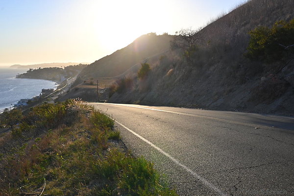 DSC 0069