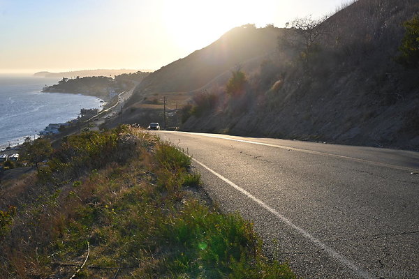 DSC 0075