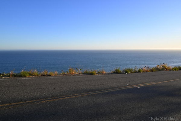 DSC 0099