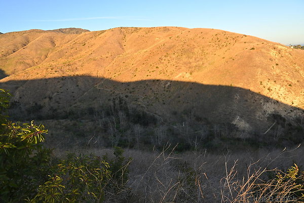 DSC 9979