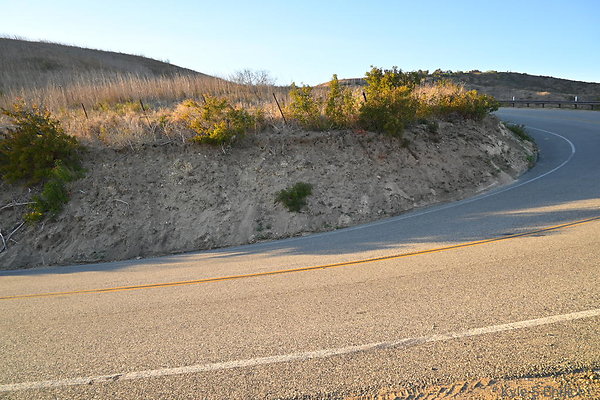 DSC 0054