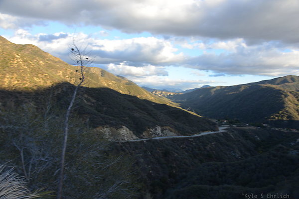 DSC 1455