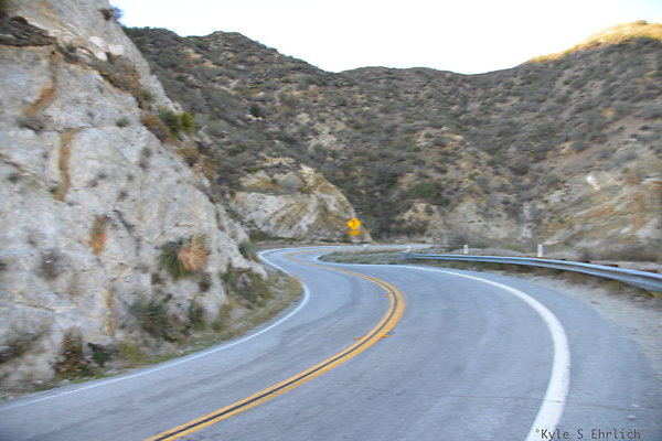 DSC 1439