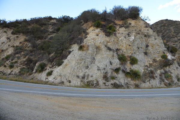 DSC 1520