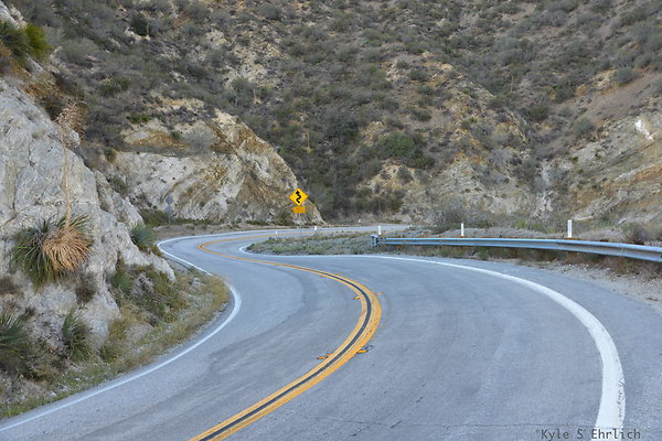 DSC 1436